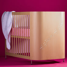 Fish Style Designed Embrace Luck Crib